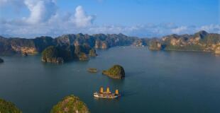 Jonque Peony 3 jours