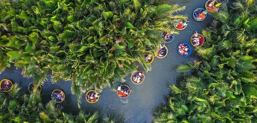 Balades-en-charette-de-buffles-a-Hoi-An